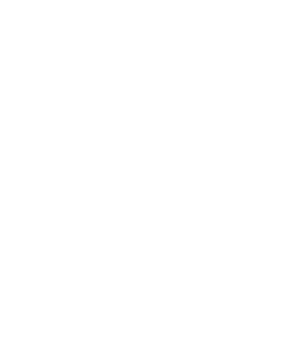 Security partner logo